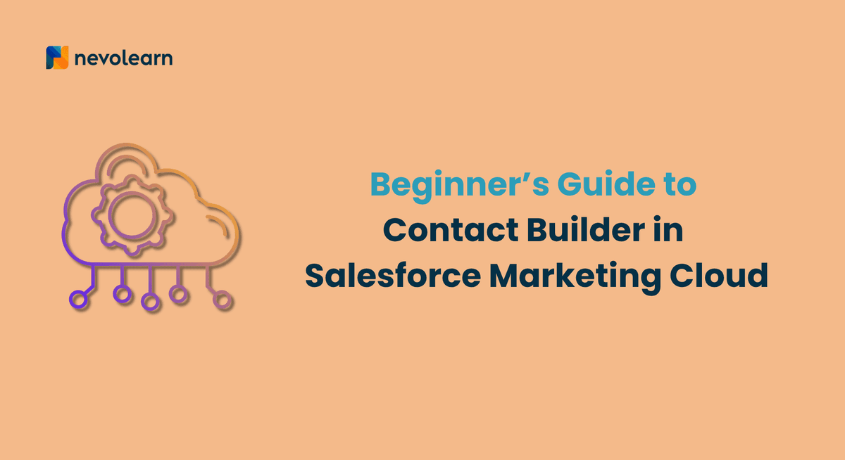 Beginner’s Guide to Contact Builder in Salesforce Marketing Cloud