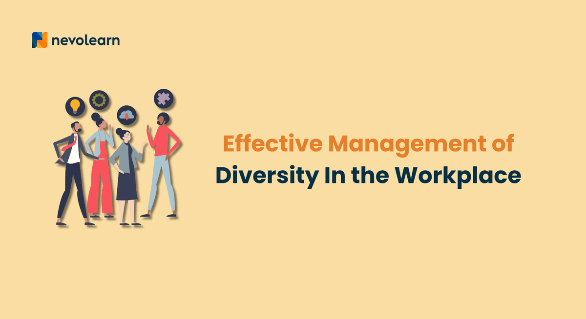 Effective Management of Diversity In the Workplace