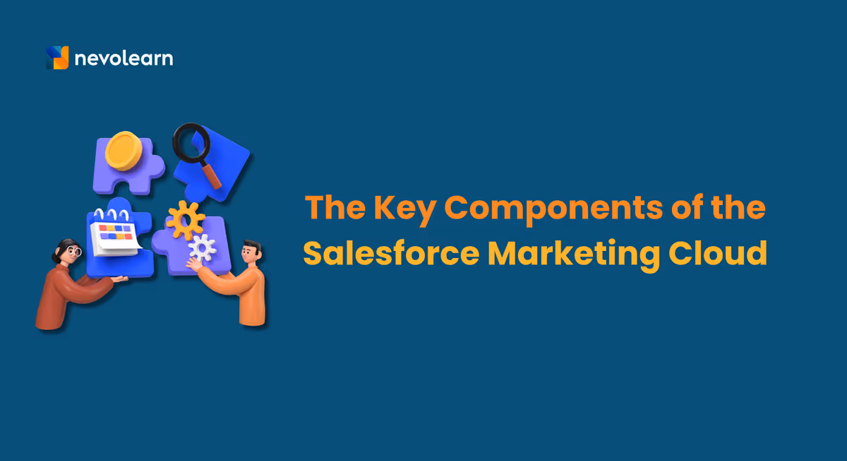 The Key Components of the Salesforce Marketing Cloud