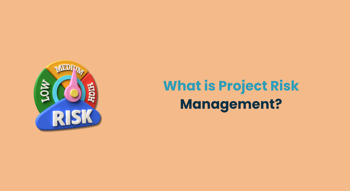 What is Project Risk Management 1920
