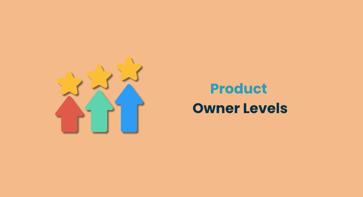 Product Owner Levels